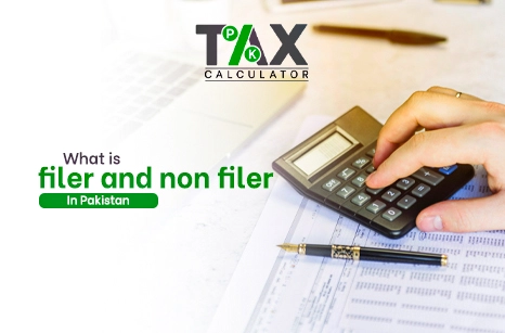 what is filer and non filer